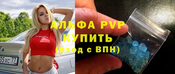 сатива Баксан