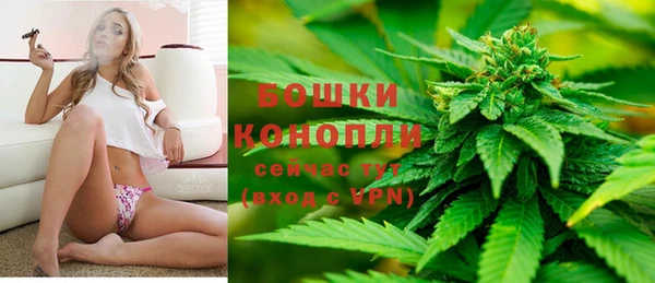 сатива Баксан
