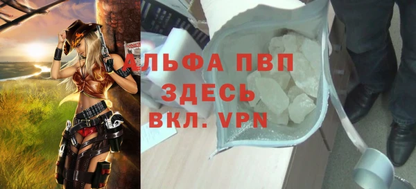 сатива Баксан