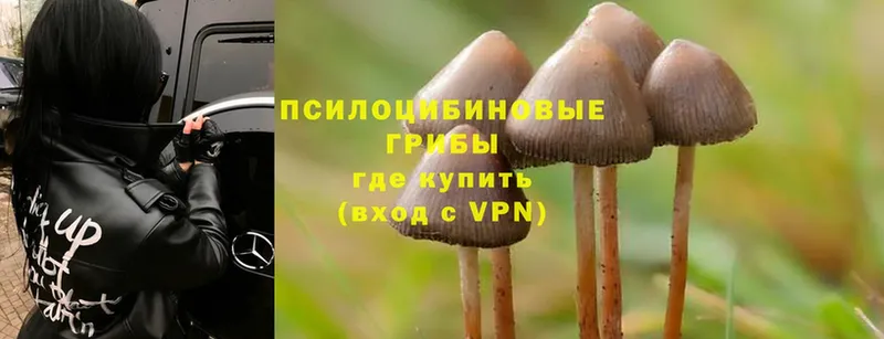 Псилоцибиновые грибы MAGIC MUSHROOMS  Бугульма 