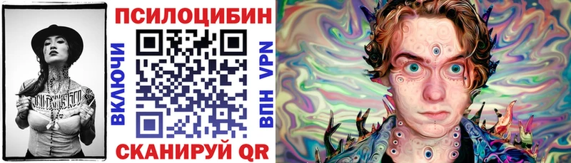 blacksprut вход  Бугульма  Псилоцибиновые грибы GOLDEN TEACHER  наркота 