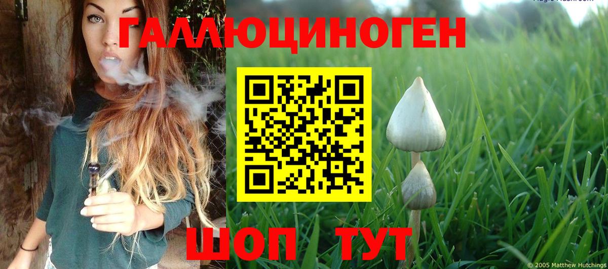 Галлюциногенные грибы прущие грибы Бугульма