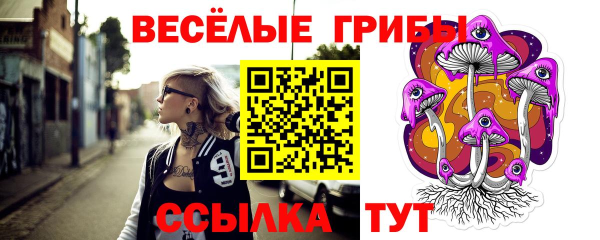 Псилоцибиновые грибы Cubensis  Псилоцибиновые грибы мицелий  Бугульма 