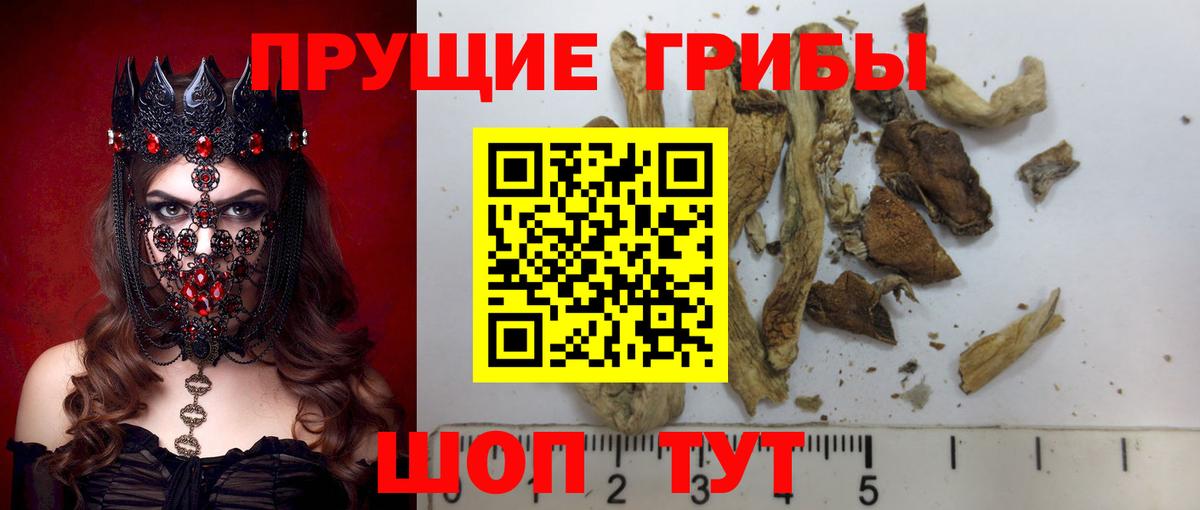 Псилоцибиновые грибы прущие грибы  Галлюциногенные грибы Cubensis  Бугульма  Вход с VPN 